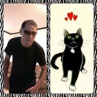 Black Cat