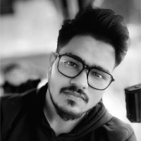 Mr. Deepak Bhadkamkar