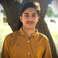 Muhammad Saim