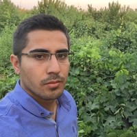 Mostafa A