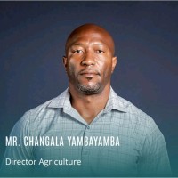 Changala Yambayamba