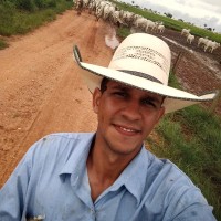 Djavan Almeida
