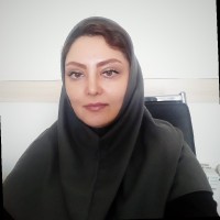 Mani Dalil