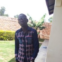 David Ariko