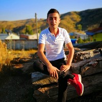Ali Çolak