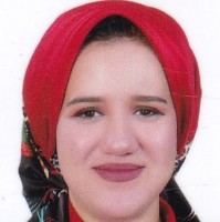 Heba Kamel