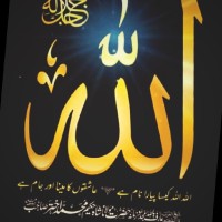 Qaiser Ameen