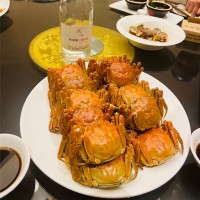陈治远