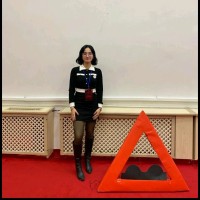 Nisa Cansız