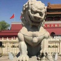 刘新雨