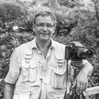 Peter Hellbrügge-Dierks