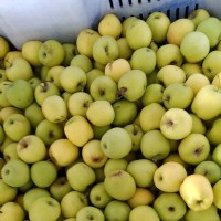 Juan Fernández  Abellan