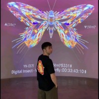 Tim Huang