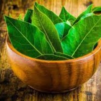 Виталий Лаврик