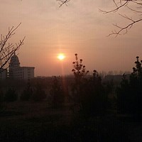 何嘉宁