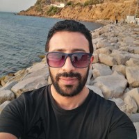 meher ferjani