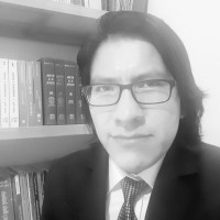 Gerardo Adolfo bedoya Zaira