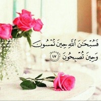 amer assiri