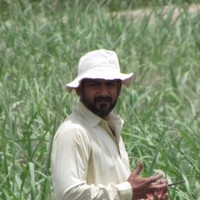 Rizwan ul Haque