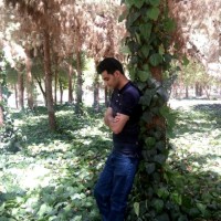 Saeed Mohammadi