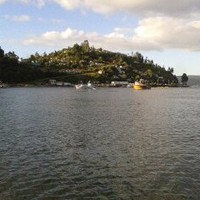 Patricia Andrea Guerrero Navarro