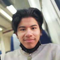 David Cossio Espinoza