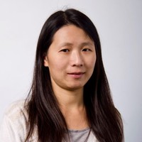 Hong Qi