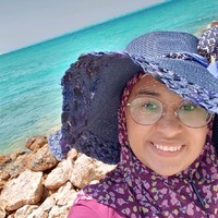 noura Abbas