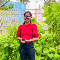 Pagala Pranathi