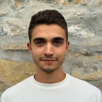 Federico Cantone