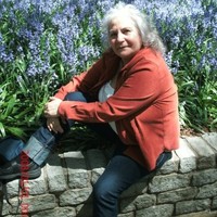 andrea arikian-finno