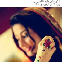 Raja Adeel