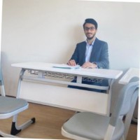 Mahmoud Tartoussi
