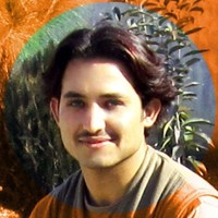 Abid Gul