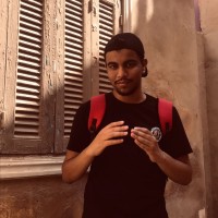 Kareem Walid