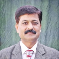 M K Gaur