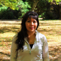Andrea G. Castillo Velásquez