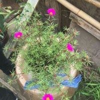 曹兴超