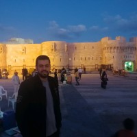 Amr Hamza