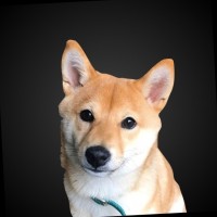 Nala De Kimche
