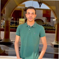 Mahmoud Ayoub