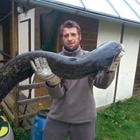Imrich Uškrt