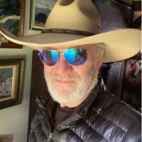 Don Hamilton