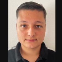 Dominique Nik Dominelli