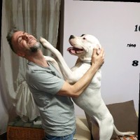 Mauro Mocci