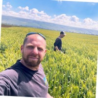Yoav Rotem
