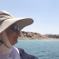 Wasan Alqaisi