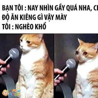 Chính Tài