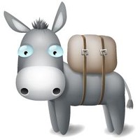 animals icons