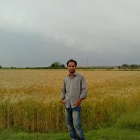Dr. Rehan Rafique